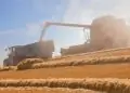 Agropecuária registra alta de 32,4% na geração de empregos em julho 4 Agropecuária registra alta de 32,4% na geração de empregos em julho