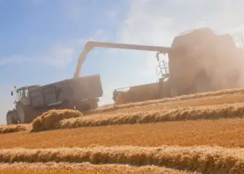 Agropecuária registra alta de 32,4% na geração de empregos em julho