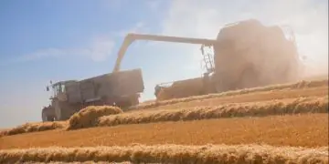Agropecuária registra alta de 32,4% na geração de empregos em julho
