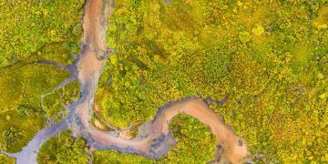 Bacia Amazônica abriga 2,7 mil espécies de peixes e enfrenta ameaças