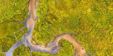 Bacia Amazônica abriga 2,7 mil espécies de peixes e enfrenta ameaças