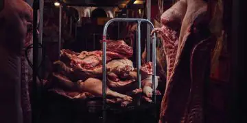 Brasil amplia acesso ao mercado de carne bovina da Indonésia