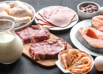 Brasil cobra solução para restrições da UE a produtos de origem animal