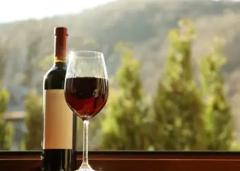 Brasil registra 965 vinícolas e mais de 16 mil vinhos em 2025