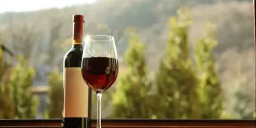 Brasil registra 965 vinícolas e mais de 16 mil vinhos em 2025