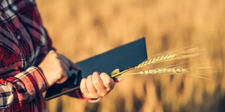 CPRs chegam a R$ 600,3 bilhões em estoque no agro em agosto 1 CPRs chegam a R$ 600,3 bilhões em estoque no agro em agosto