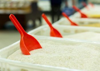 Conab poderá destinar R$ 500 milhões para compra de arroz da safra 2025/2026