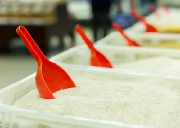 Conab poderá destinar R$ 500 milhões para compra de arroz da safra 2025/2026