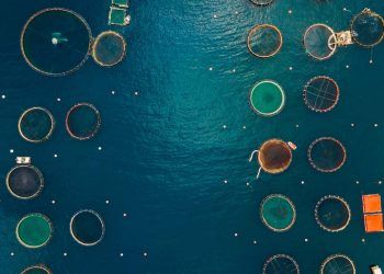 Conama aprova novas regras para licenciamento ambiental da aquicultura