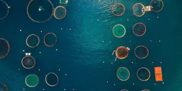 Conama aprova novas regras para licenciamento ambiental da aquicultura