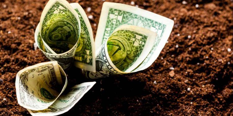 Crédito rural movimenta R$ 65,7 bilhões nos dois primeiros meses da safra 26/27 1 Crédito rural movimenta R$ 65,7 bilhões nos dois primeiros meses da safra 26/27