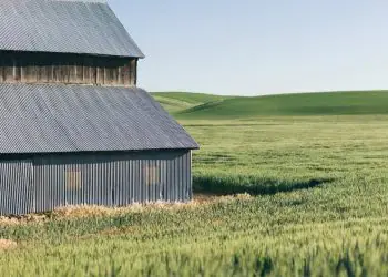 Crédito rural recua 37,8% nos dois primeiros meses do Plano Safra 2026/27