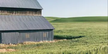Crédito rural recua 37,8% nos dois primeiros meses do Plano Safra 2026/27