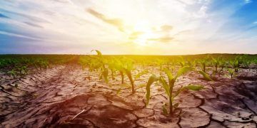 El Niño aumenta atenção aos riscos climáticos na safra 2026/27
