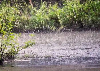 El Niño deve se intensificar e trazer extremos de chuva e seca ao Brasil, aponta Inmet 6 El Niño deve se intensificar e trazer extremos de chuva e seca ao Brasil, aponta Inmet