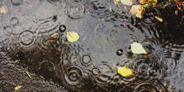 El Niño deve trazer chuva acima da média no Sul e seca no Centro-Norte, aponta Inmet