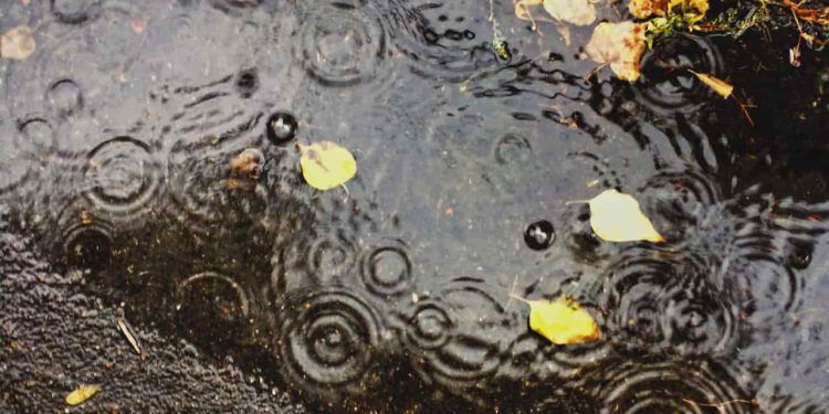 El Niño deve trazer chuva acima da média no Sul e seca no Centro-Norte, aponta Inmet 1 El Niño deve trazer chuva acima da média no Sul e seca no Centro-Norte, aponta Inmet