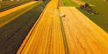 Governo libera R$ 375 milhões para fortalecer crédito da agricultura familiar