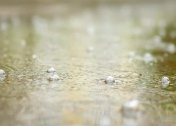 Manejo do solo pode definir prejuizos ou ganhos apos chuvas fortes entenda