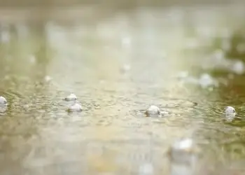 Manejo do solo pode definir prejuízos ou ganhos após chuvas fortes, entenda