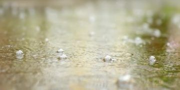 Manejo do solo pode definir prejuízos ou ganhos após chuvas fortes, entenda