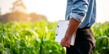 Nova lei muda regras do seguro rural e estabelece prazo para indenizações
