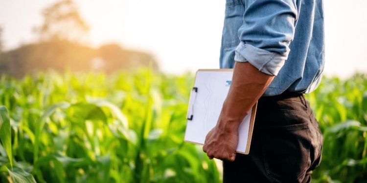 Nova lei muda regras do seguro rural e estabelece prazo para indenizações 1 Nova lei muda regras do seguro rural e estabelece prazo para indenizações