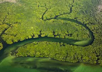 Novas reservas ampliam proteção ambiental na Amazônia e na Caatinga
