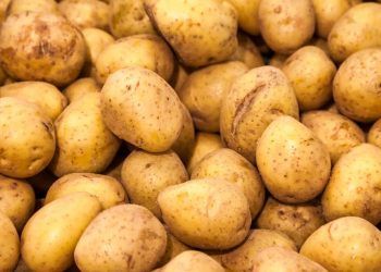 Preços da batata recuam 11,6% em agosto nas Ceasas, aponta Conab