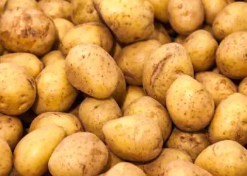 Preços da batata recuam 11,6% em agosto nas Ceasas, aponta Conab