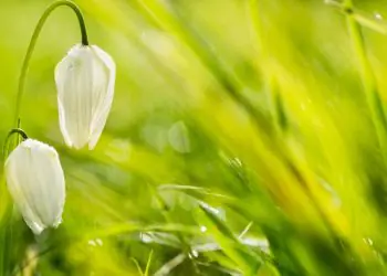 Primavera começa com aumento das chuvas e temperaturas em grande parte do Brasil