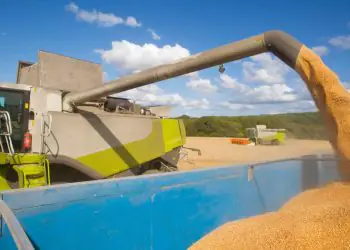 Produção agrícola brasileira bate recorde e alcança R$ 927,2 bilhões em 2025 6 Produção agrícola brasileira bate recorde e alcança R$ 927,2 bilhões em 2025
