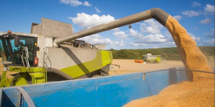 Produção agrícola brasileira bate recorde e alcança R$ 927,2 bilhões em 2025 1 Produção agrícola brasileira bate recorde e alcança R$ 927,2 bilhões em 2025