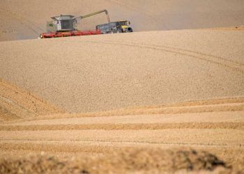 Produção brasileira de grãos deve alcançar 361,7 milhões de toneladas, estima Conab