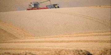 Produção brasileira de grãos deve alcançar 361,7 milhões de toneladas, estima Conab
