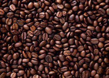 Produção de café no Brasil deve bater recorde e chegar a 67,6 milhões de sacas em 2026