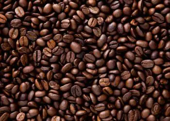 Producao de cafe no Brasil deve bater recorde e chegar a 676 milhoes de sacas em 2026