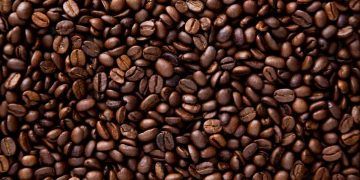 Produção de café no Brasil deve bater recorde e chegar a 67,6 milhões de sacas em 2026