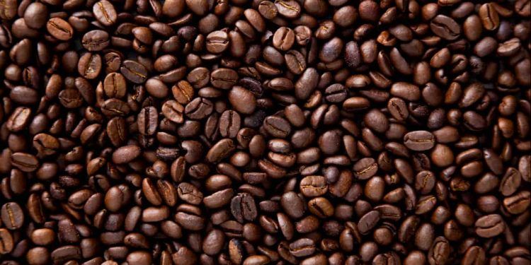 Produção de café no Brasil deve bater recorde e chegar a 67,6 milhões de sacas em 2026 1 Produção de café no Brasil deve bater recorde e chegar a 67,6 milhões de sacas em 2026