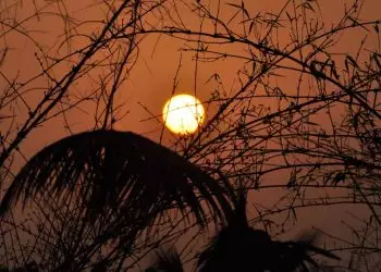 Temperaturas máximas sobem até 3,22 °C em áreas da Amazônia 8 Temperaturas máximas sobem até 3,22 °C em áreas da Amazônia