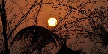 Temperaturas máximas sobem até 3,22 °C em áreas da Amazônia