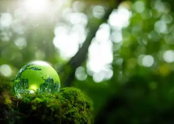 Unidades de Conservação recebem R$ 442 milhões em recursos de compensação ambiental