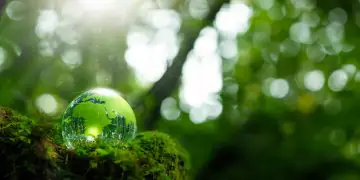 Unidades de Conservação recebem R$ 442 milhões em recursos de compensação ambiental