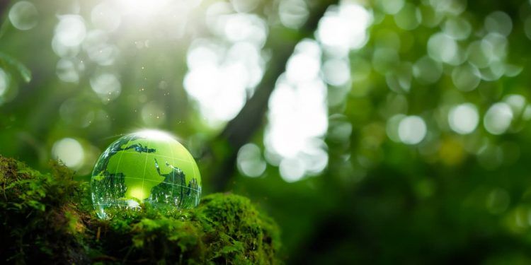 Unidades de Conservação recebem R$ 442 milhões em recursos de compensação ambiental 1 Unidades de Conservação recebem R$ 442 milhões em recursos de compensação ambiental