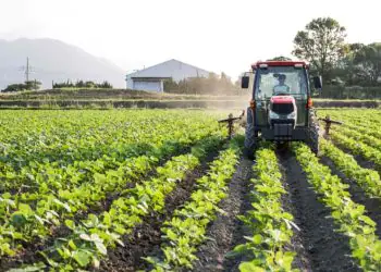 VBP da agropecuária deve cair 4% em 2026 e ficar em R$ 1,45 trilhão