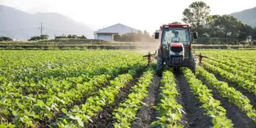 VBP da agropecuária deve cair 4% em 2026 e ficar em R$ 1,45 trilhão