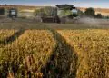 VBP da agropecuária é estimado em R$ 1,4 trilhão em agosto 5 VBP da agropecuária é estimado em R$ 1,4 trilhão em agosto