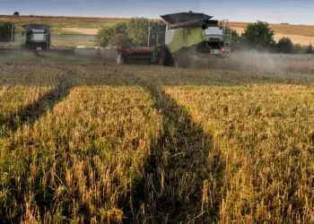 VBP da agropecuária é estimado em R$ 1,4 trilhão em agosto 6 VBP da agropecuária é estimado em R$ 1,4 trilhão em agosto