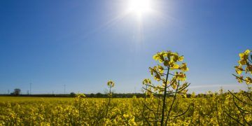 Calor pode superar 40 °C em oito estados até quarta-feira (30)