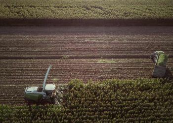 Agronegocio emprega 284milhoes de pessoas e bate recorde para o 2° trimestre